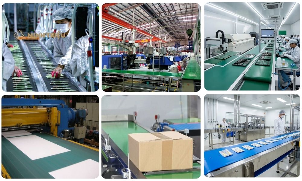 băng tải PVC xanh