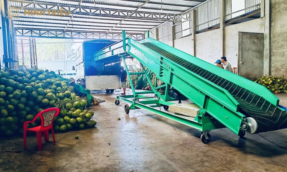 băng tải cánh bướm