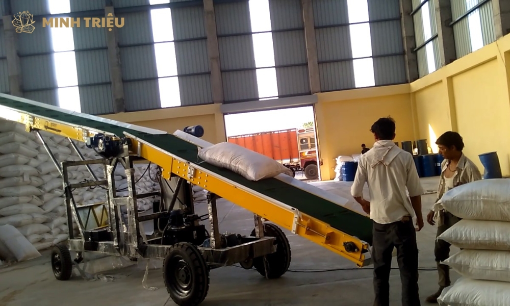 băng tải cánh bướm