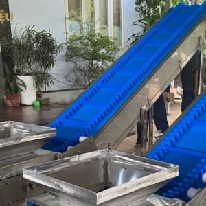 Băng tải cấp liệu